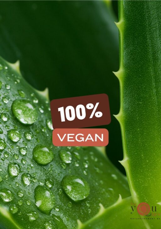 GEL D’ALOE VERA